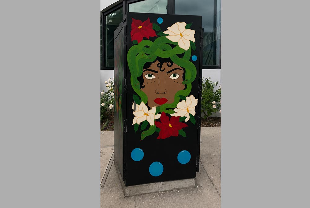 Painted Utility Box 10