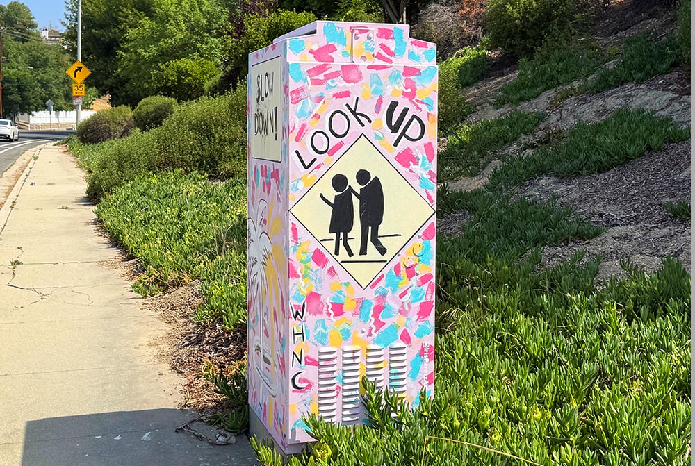 Painted Utility Box 12