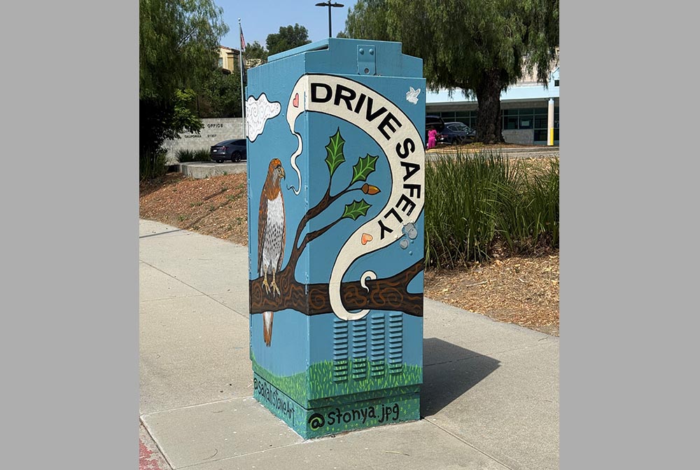 Painted Utility Box 13