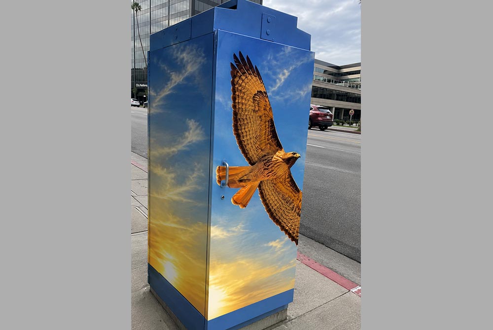 Painted Utility Box 9
